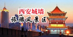 国模小丽逼逼插机巴中国陕西-西安城墙旅游风景区