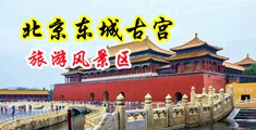 阴道插入肉棒黄色网站在线观看中国北京-东城古宫旅游风景区